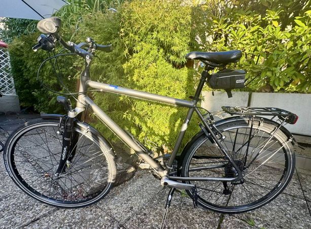 Tourenvelo CANYON GLOBE kaufen in Zürich #1 | velomarkt.ch