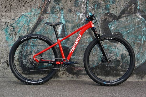 Thömus Tomcat Alu 29'' XS kaufen in Berne #1 | velomarkt.ch