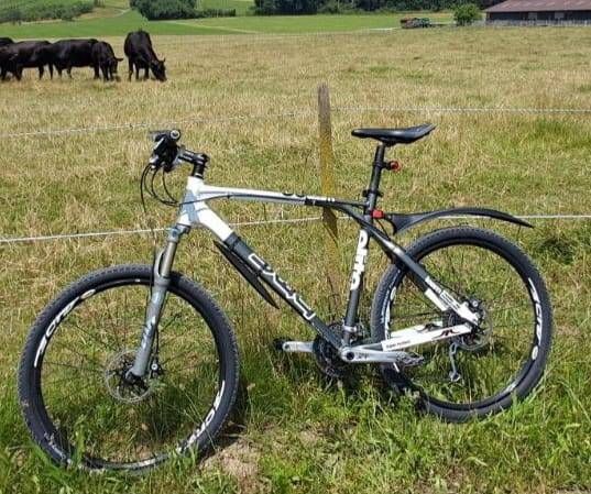 BMC ELite 2, L size kaufen in Zurigo #1 | velomarkt.ch