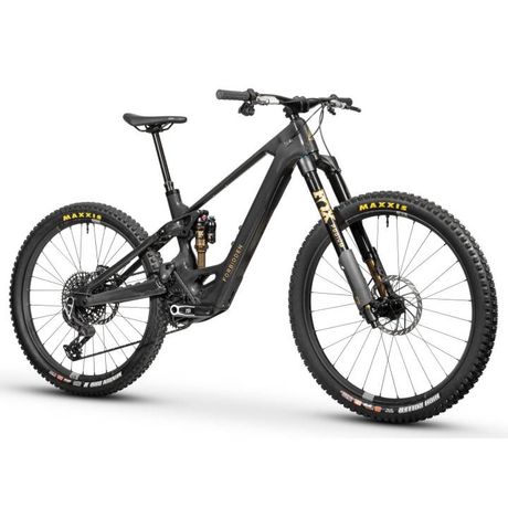 Forbidden DRUID E TIER 1 Avinox M2S 800Wh kaufen in Argovie #1 | velomarkt.ch