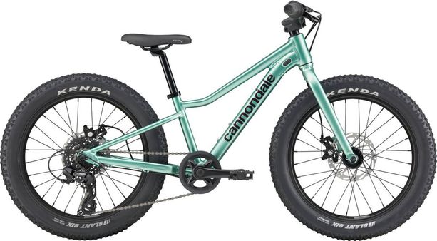 Cannondale Kids Trail Plus 20 20 CTG kaufen in Aargau #1 | velomarkt.ch