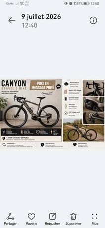 GRAVEL RENNVELO E-BIKE 500W kaufen in Wallis #1 | velomarkt.ch