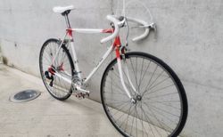 Rudi Altig Rennvelo kaufen in Argovia #2 | velomarkt.ch