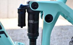 Rose Root Miller 2 2023 kaufen in Zürich #2 | velomarkt.ch