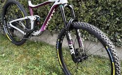 Giant Reign SX 29 L | NEW BUILD | FOX 38 GRIP2 | DHX2 | Zu verkaufen: Giant Reign SX 29, Größe L. Giant Re | velomarkt.ch