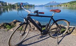 Temple Electric Classic E-Bike | Leichtes, zeitloses E-Bike in super Zustand | velomarkt.ch