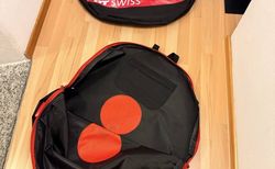 DT Swiss Laufradtasche 29 kaufen in Ticino #2 | velomarkt.ch