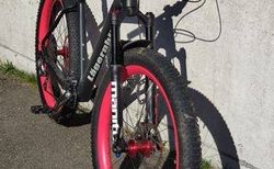 Eigenbau voll Carbon Hardtail kaufen in Aargau #4 | velomarkt.ch