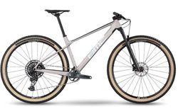 BMC TWOSTROKE 01 THREE L GREY IRIDESCENT | 30002601 | velomarkt.ch