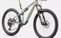 Specialized Epic 8 EVO Pro Forest green | Specialized Epic 8 EVO Pro Forest green | velomarkt.ch