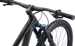 Giant Trance X 29 1 kaufen in Turgovia #3 | velomarkt.ch