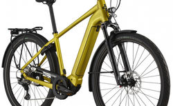 BiXS CAMPUS E10 dirty yellow XXL kaufen in Thurgovie #2 | velomarkt.ch