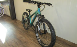 BiXS TRACTION 200 green 20&quot; kaufen in Thurgovie #2 | velomarkt.ch