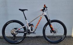 Pivot Firebird M Silver Sunrise | 00F9CV329ASXA-- SSRMDDRPEN | velomarkt.ch