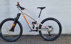 Pivot Firebird M Silver Sunrise kaufen in Thurgau #4 | velomarkt.ch