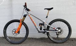 Pivot Firebird L Silver Sunrise kaufen in Thurgau #3 | velomarkt.ch