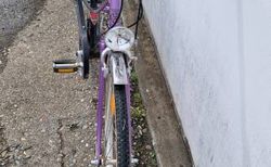 Revidiertes Citybike von Herkules kaufen in Bern #2 | velomarkt.ch