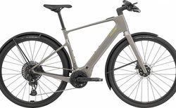 Cannondale Tesoro Neo Carbon 1 L SGY | C67024U | velomarkt.ch