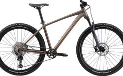 BiXS STORM 100 brown metallic S braun matt-braun metallic | 101-506-4050-512-S | velomarkt.ch