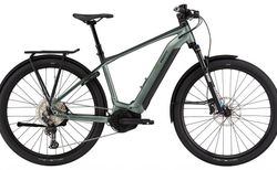 Bixs ACCESS E10 XL moss green | 101-506-1028-815-21 | velomarkt.ch