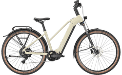 Bulls Iconic Evo 1 | pebble grey matte, M, SHIMANO Cues RD-U4000 | velomarkt.ch