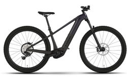 Trek Powerfly+ 4 Gen 5 L Gloss Dark Star/Matte Dark Web | 5329751 | velomarkt.ch
