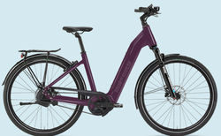 Tour de Suisse Charisma S purpur glanz / Dekor transparent klassisch | Charisma | velomarkt.ch