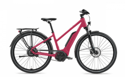 Tour de Suisse RÜCKENWIND 25 km/h | fuchsia glanz, 48 cm / 19", Shimano - CUES 9-Gang | velomarkt.ch