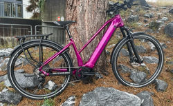 Price e-xpress Trapez kaufen in Zürich #1 | velomarkt.ch