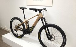 ORBEA Wild H30 S Baobab Brown-Nori Green (Matt) kaufen in St. Gallen #5 | velomarkt.ch