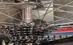 Specialized Stumpjumper kaufen in Bern #4 | velomarkt.ch