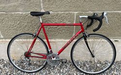 WHEELER 4100 L Rot | I-100834 | velomarkt.ch