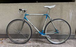 Olmo kaufen in Basel-Stadt #2 | velomarkt.ch