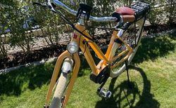 Ibex Clever & Smart Vintage | Modelljahr 2016, Laufleistung ca. 300km | velomarkt.ch