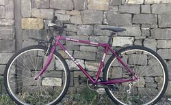 Wheeler Custom Gravelbuild | mit Liebe neu aufgebaut | velomarkt.ch