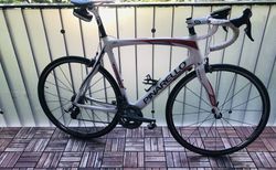 Pinarello FP Team | Für Körpergrosse 185-195 | velomarkt.ch
