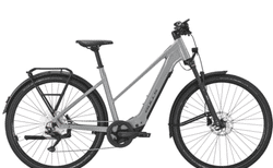 Bulls Cross Lite Evo Sx 1 | alpine grey, M, SHIMANO Deore RD-M5120 shadow | velomarkt.ch