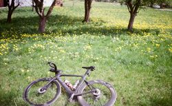 Giant Propel Advanced Disc 1 (2019) – Carbon Aero kaufen in Basel-Landschaft #3 | velomarkt.ch