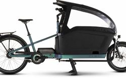 Cube Cargo Hybrid Comfort Pro Family 800 smaragdgrey´n´reflex 26" / 20": ONE SIZE smaragdgrey´n´reflex | 124201 | velomarkt.ch