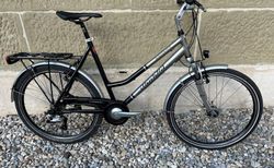 Mondia Sahara M Silber/Schwarz | I-101261 | velomarkt.ch