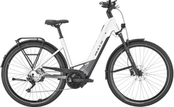 Bulls CROSS LITE EVO 1 kaufen in Zürich #1 | velomarkt.ch