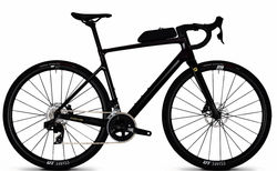 Focus PARALANE 8.8 M Darkviolet glossy, Carbon raw glossy | D673012112 | velomarkt.ch