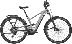 BULLS ICONIC EVO FS 1 29 L liquid silver matte | 525802400847 | velomarkt.ch