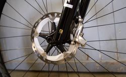 Ibis Ripley V5 2025 (NEU) kaufen in Graubünden #5 | velomarkt.ch