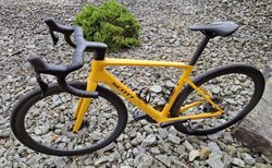 Leichtes Scott Addict RC 10. kaufen in Basel-Landschaft #2 | velomarkt.ch