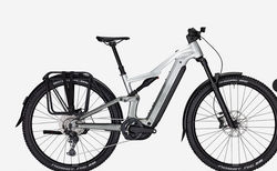 Focus THRON² 6.7 EQP 800WH M Nepalsilver, Steelgrey | D680514231 | velomarkt.ch