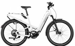 Riese & Müller Homage GT touring | Riese & Müller Homage GT touring | velomarkt.ch