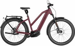 Riese & Müller Charger 5 pinion HS | Riese & Müller Charger 5 pinion HS | velomarkt.ch