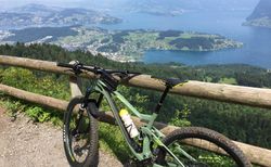 Scott Genius 710 Gr. M kaufen in Soleure #2 | velomarkt.ch