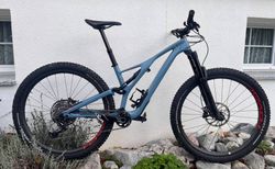 Specialized Stampjumper | Zu schade, um im Keller zu verstauben | velomarkt.ch